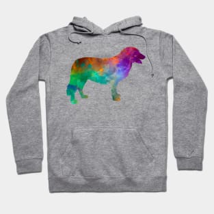 Atlas Mountain Dog in watercolor Hoodie